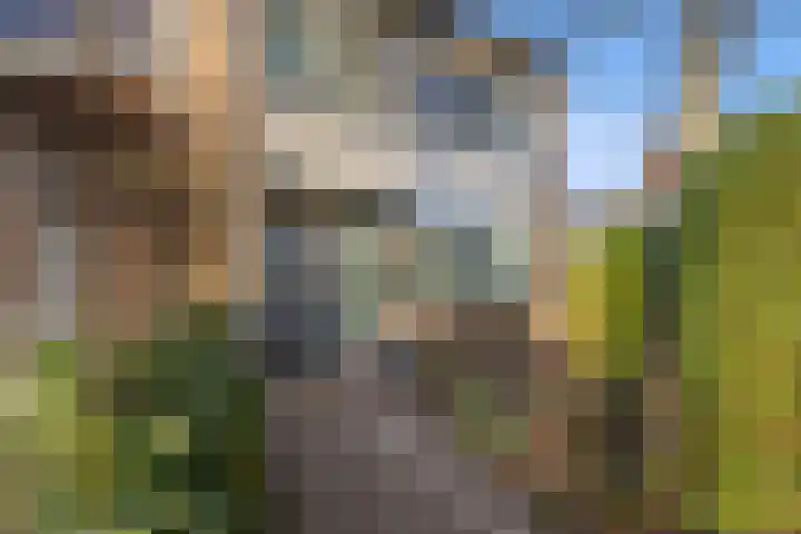 Aldenhof 6002 Nijmegen thumbnail 45