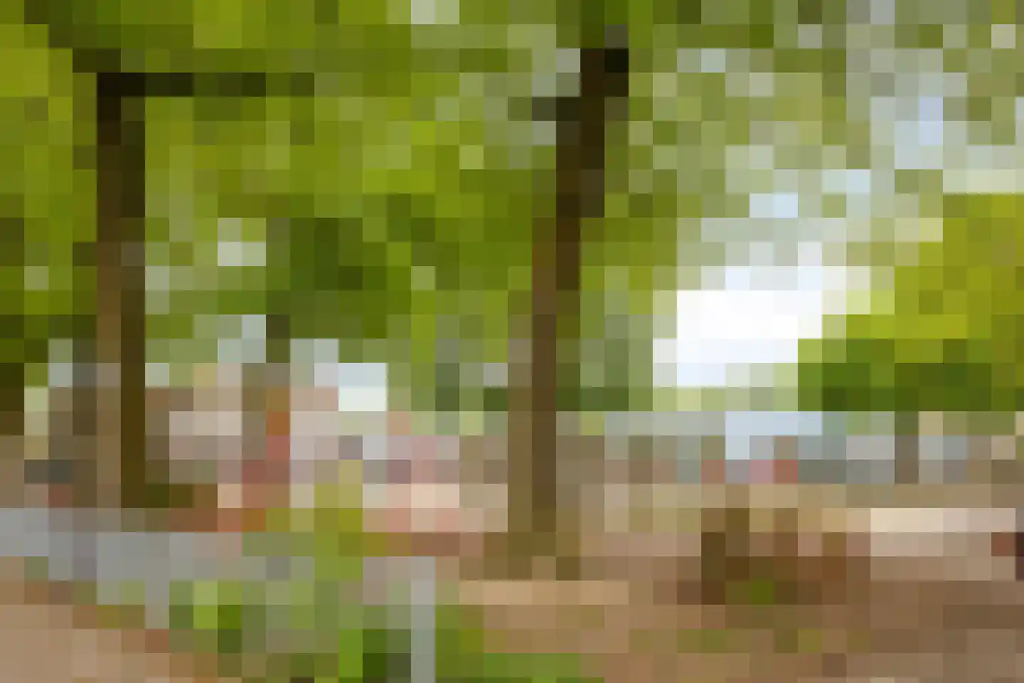 Aldenhof 6147 Nijmegen thumbnail 32