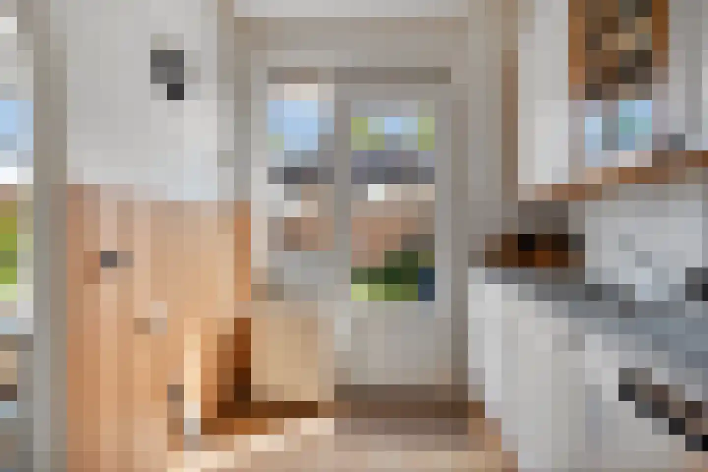 Aldenhof 6177 Nijmegen thumbnail 12