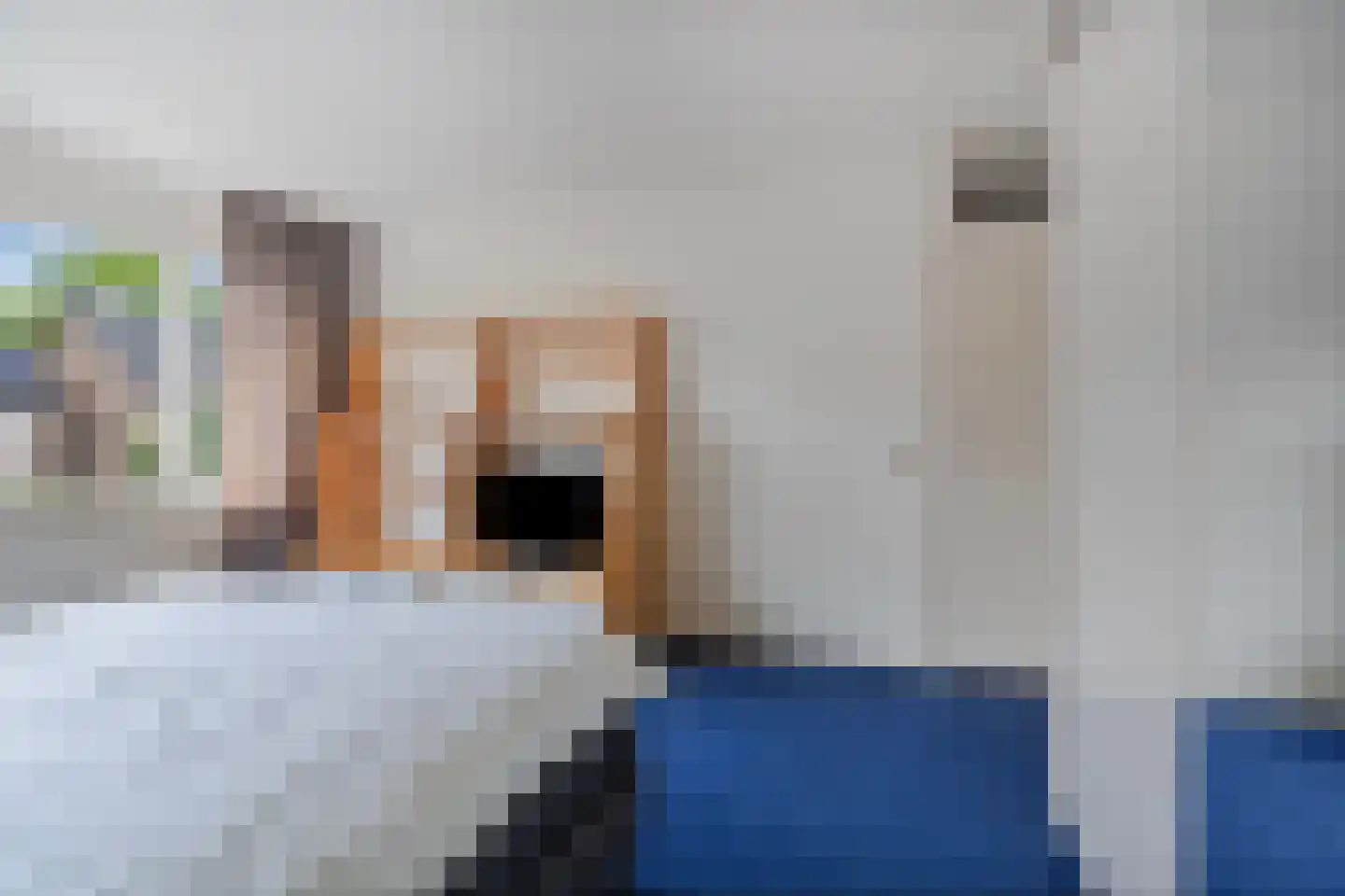Aldenhof 6177 Nijmegen thumbnail 20