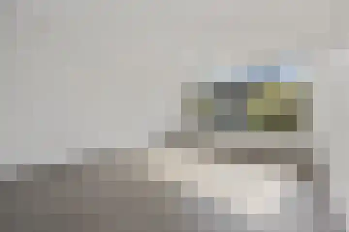 Aldenhof 6429 Nijmegen thumbnail 8