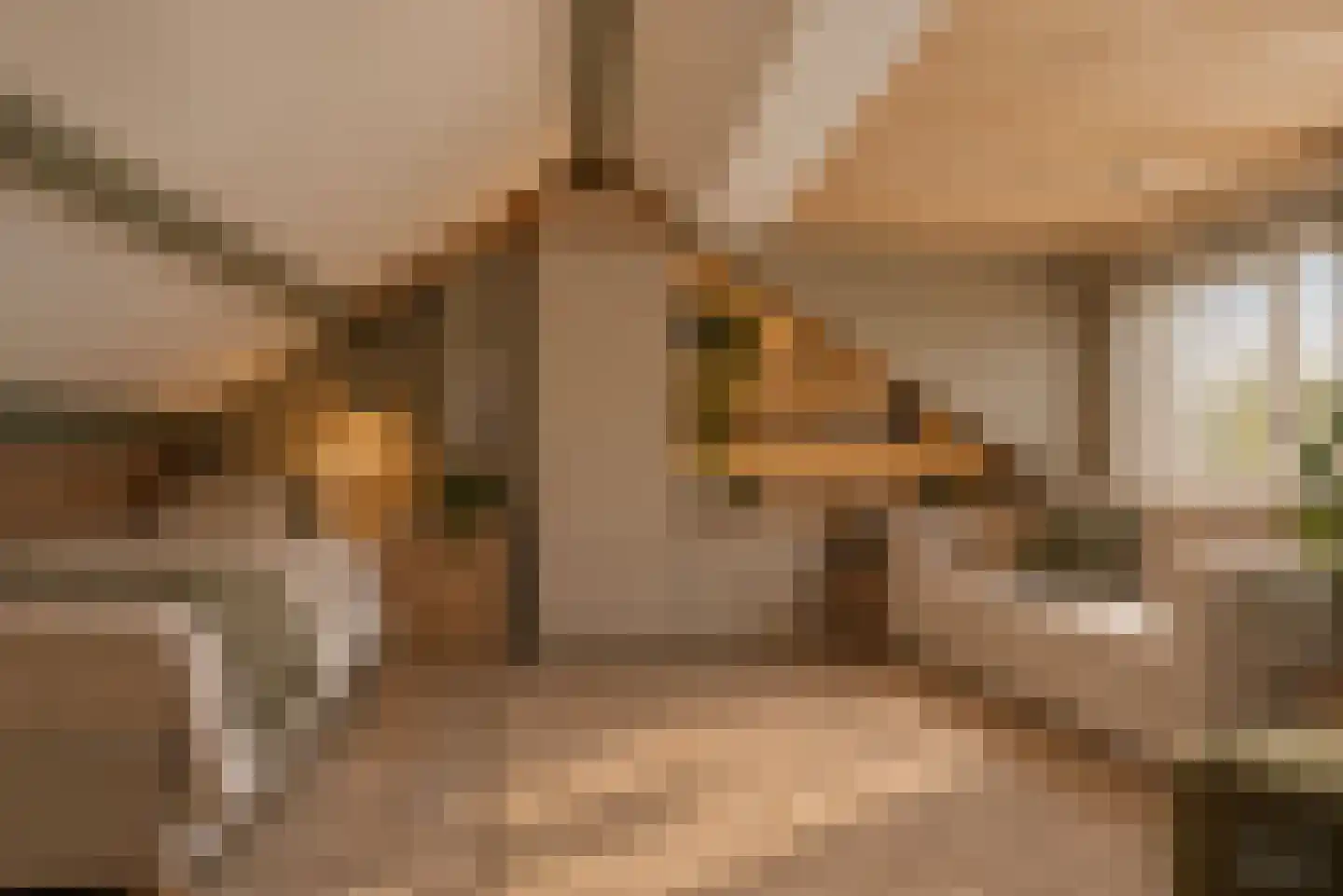 Aldenhof 6702 Nijmegen thumbnail 33