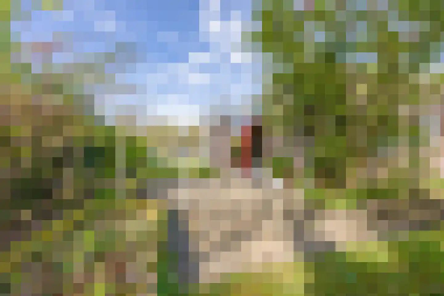 Aldenhof 7000 Nijmegen thumbnail 39