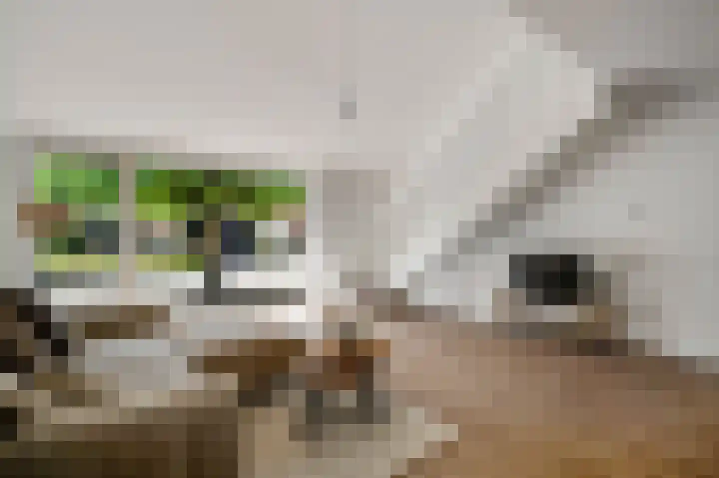 Aldenhoven 25 Heythuysen thumbnail 10