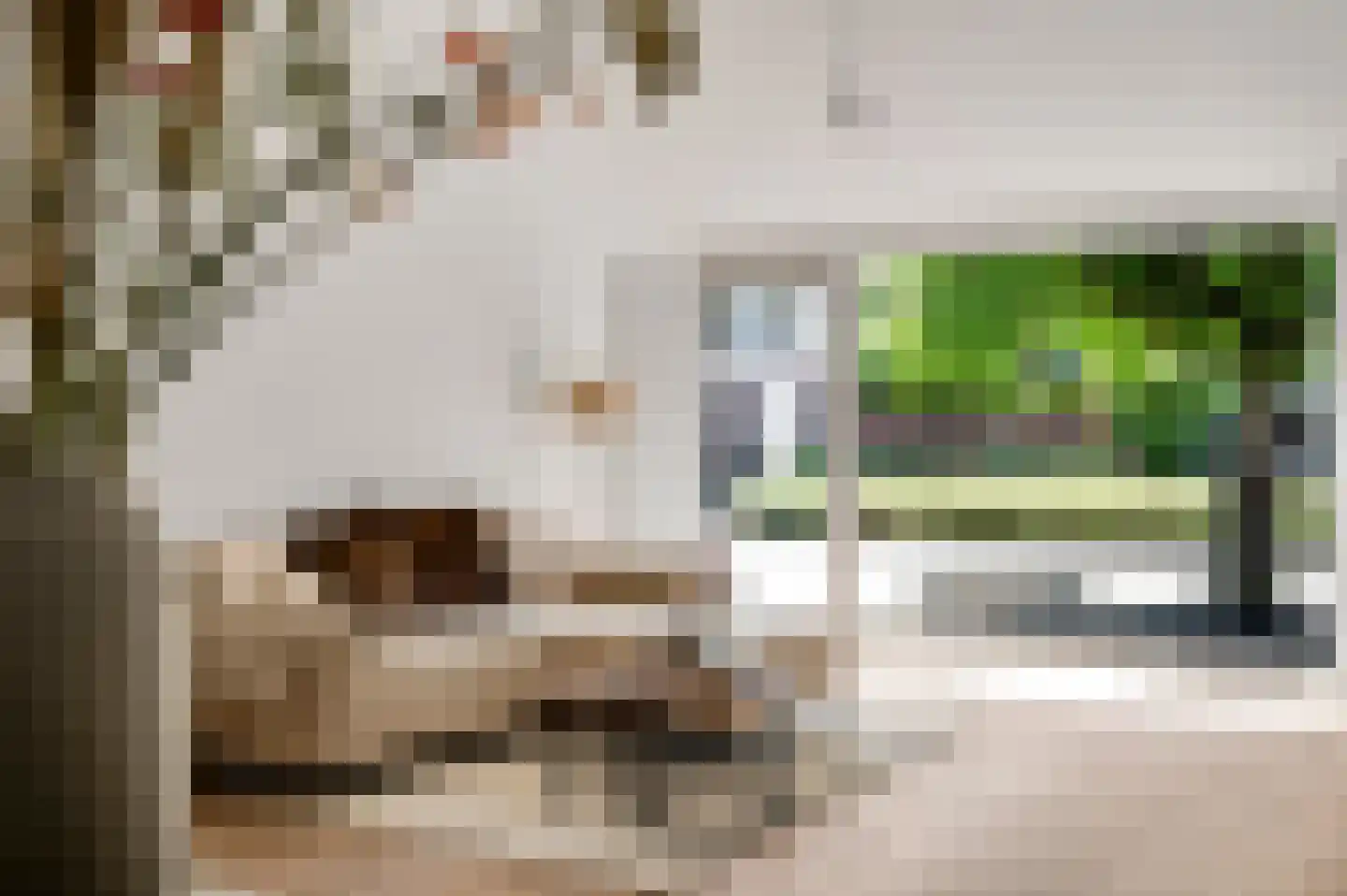 Aldenhoven 25 Heythuysen thumbnail 14