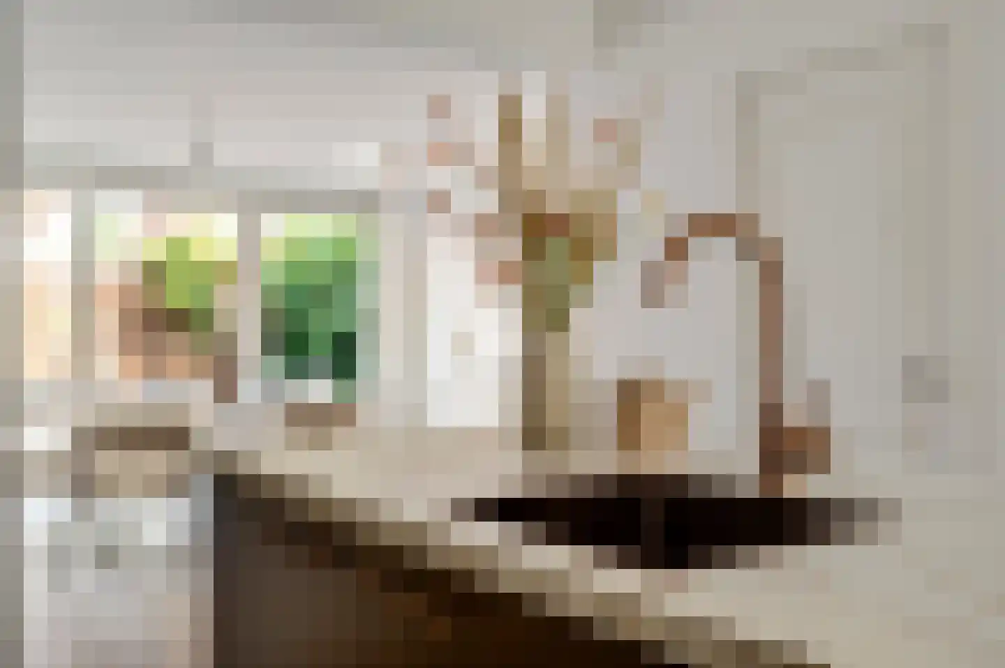 Aldenhoven 25 Heythuysen thumbnail 18