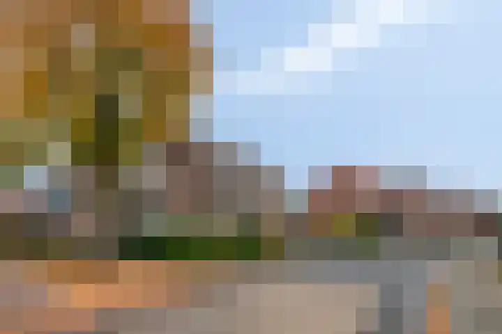 Aldetiendstraat 20 Uden thumbnail 29