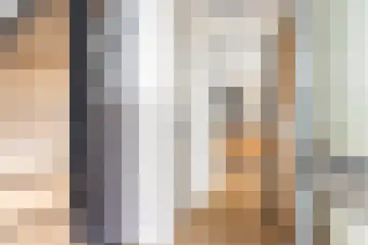 Aldewei 10 Workum thumbnail 10