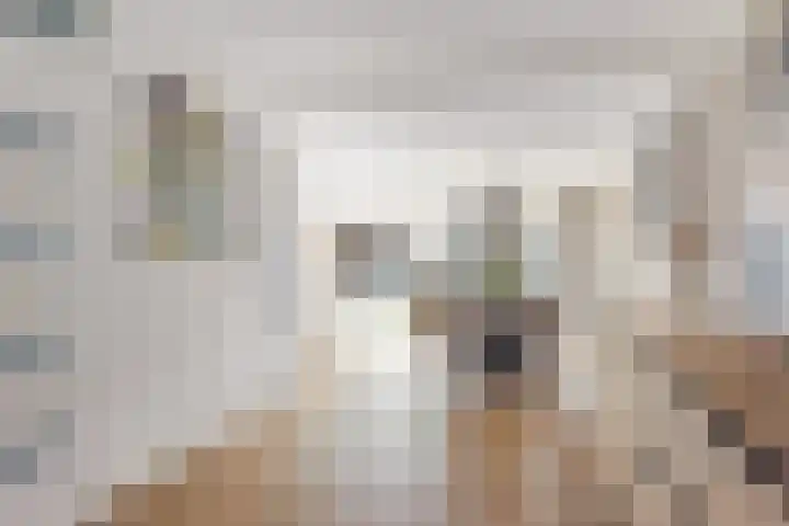 Aldewei 10 Workum thumbnail 15