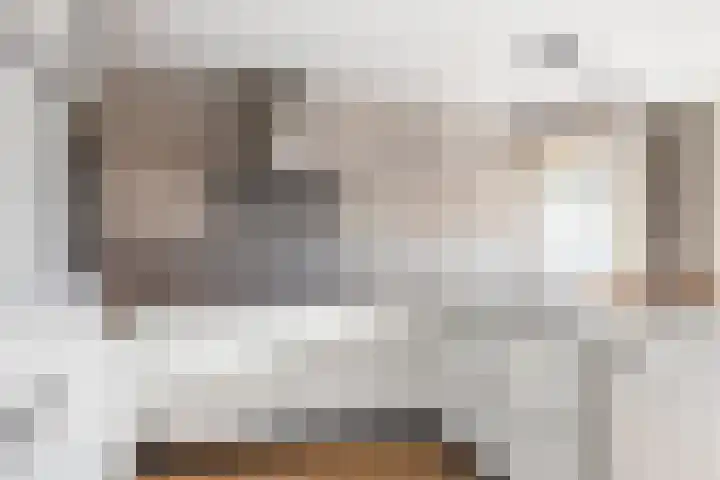 Aldewei 10 Workum thumbnail 17