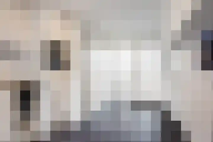 Aldewei 10 Workum thumbnail 21