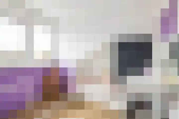 Aldewei 10 Workum thumbnail 43