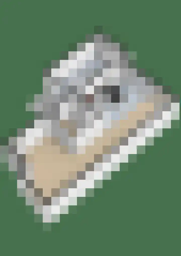 Aldewei 10 Workum thumbnail 45