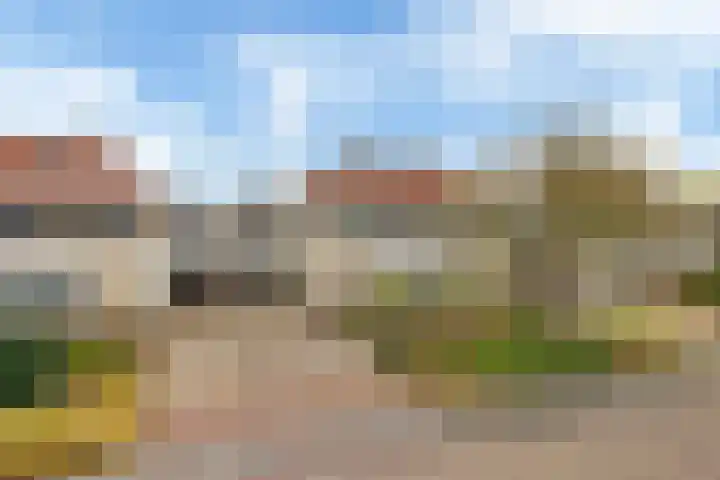 Aldewei 10 Workum thumbnail 5