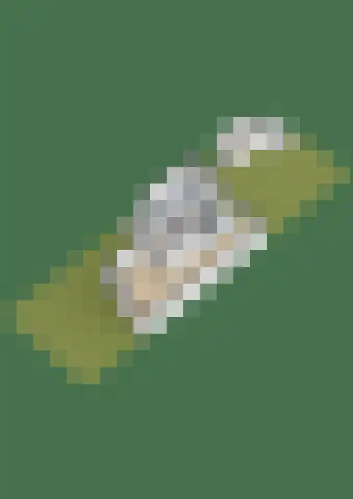 Aldewei 10 Workum thumbnail 53