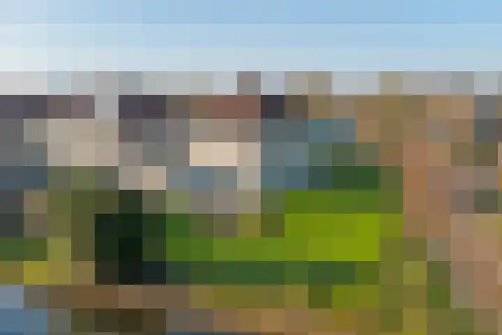 Aldewei 20 in Workum