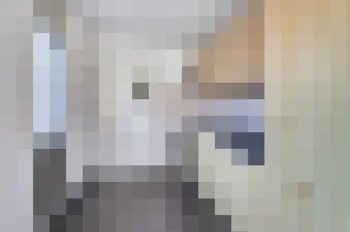 Aldewei 20 Workum thumbnail 13