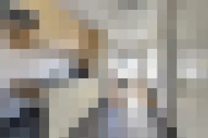 Aldewei 20 Workum thumbnail 14