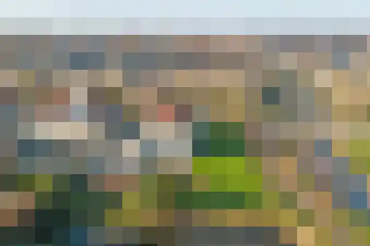 Aldewei 20 Workum thumbnail 27