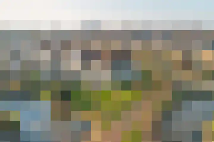 Aldewei 20 Workum thumbnail 4