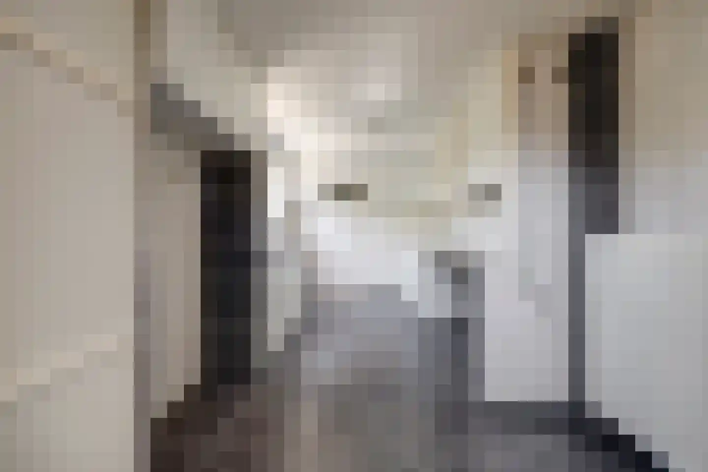 Aldewei 25 Workum thumbnail 12