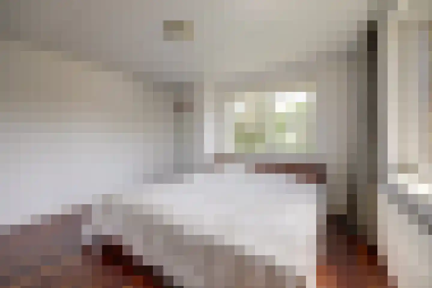 Aldewei 25 Workum thumbnail 15