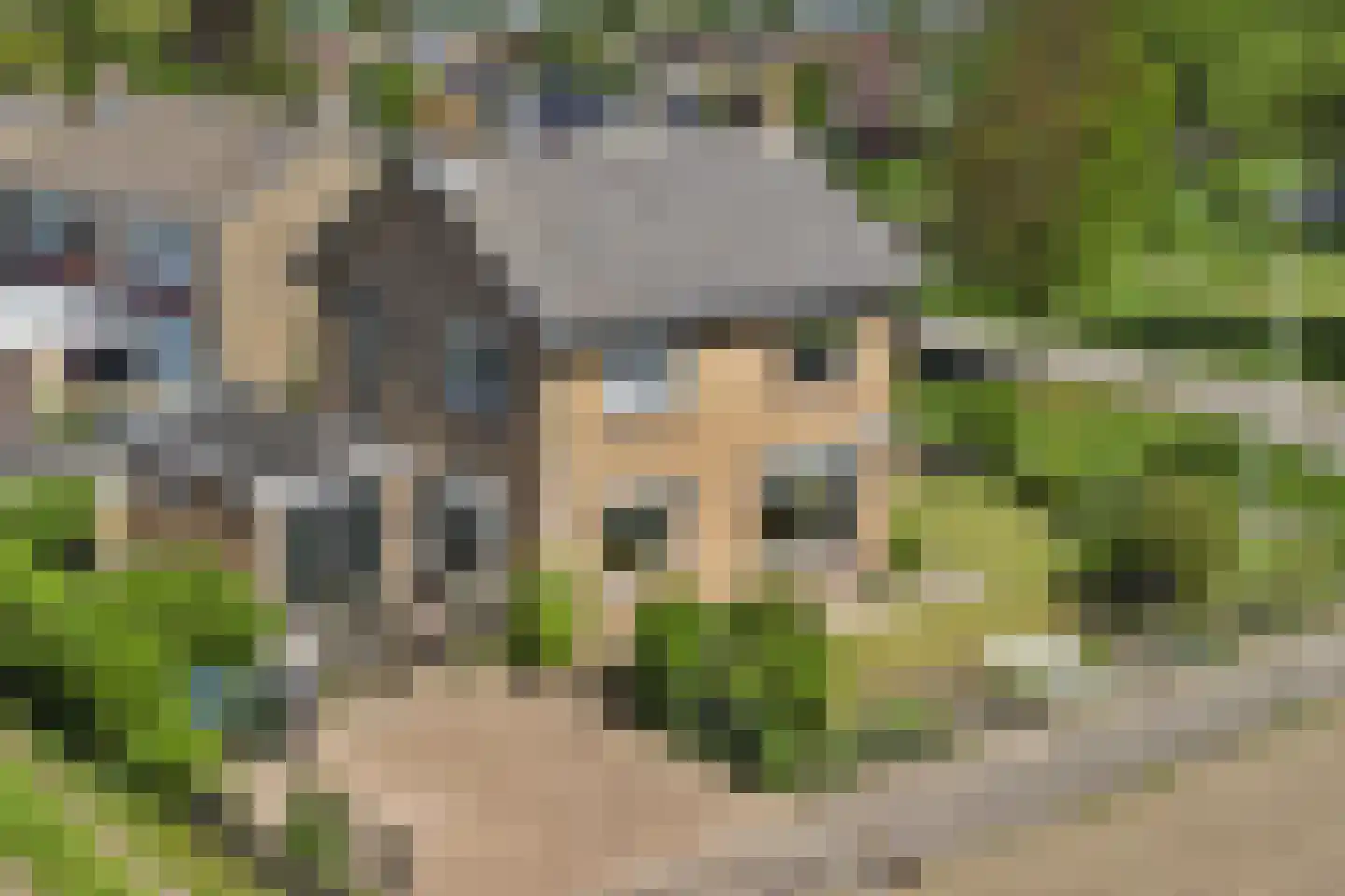 Aldewei 25 Workum thumbnail 24