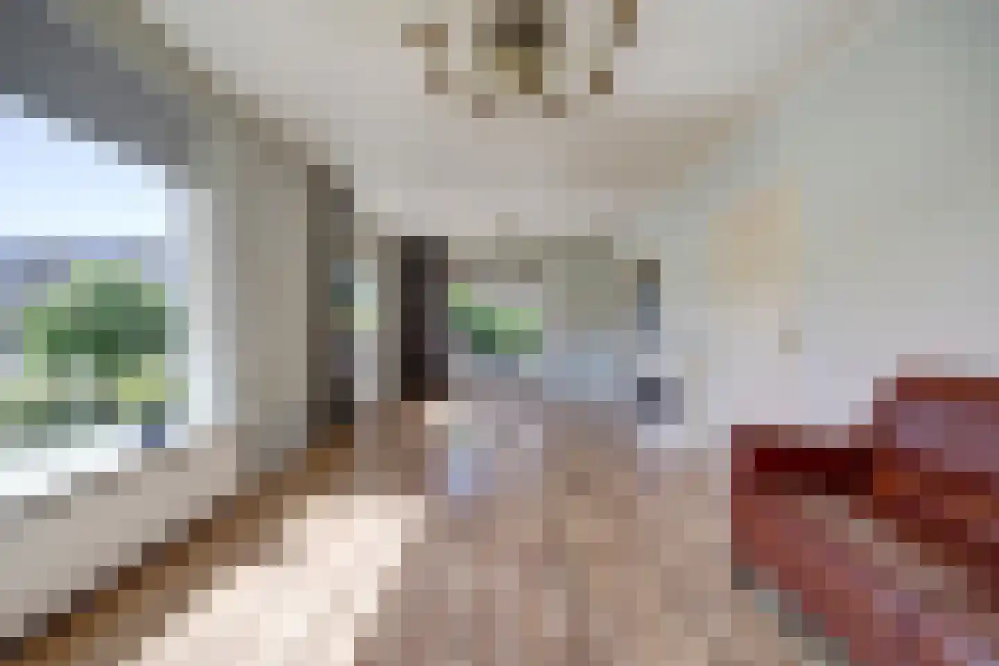 Aldewei 25 Workum thumbnail 4