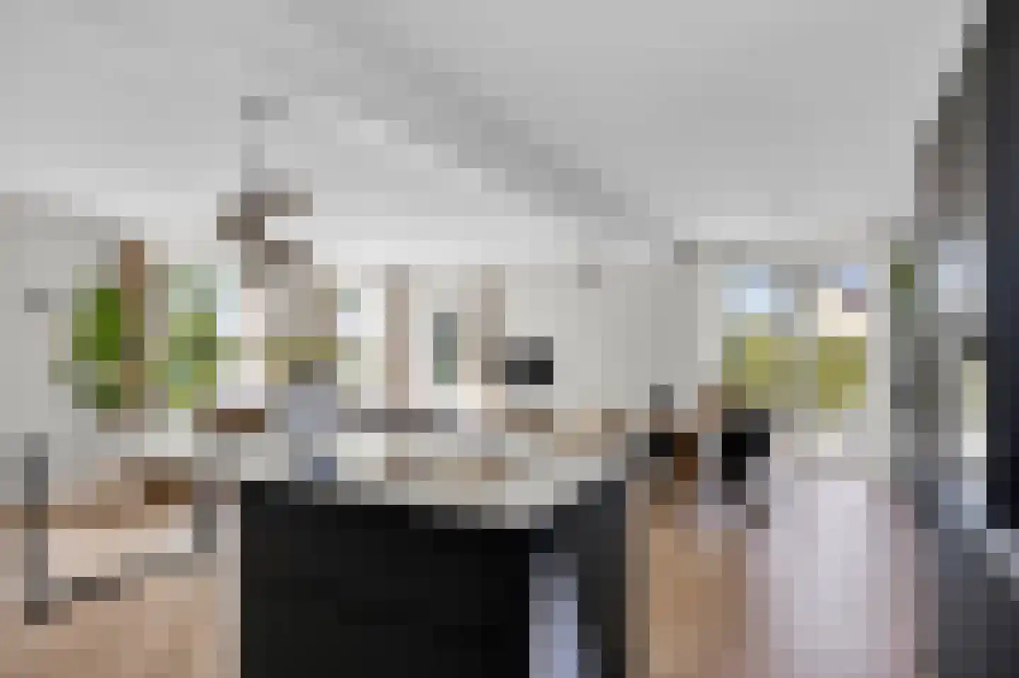Aldewei 35 Oudega thumbnail 14