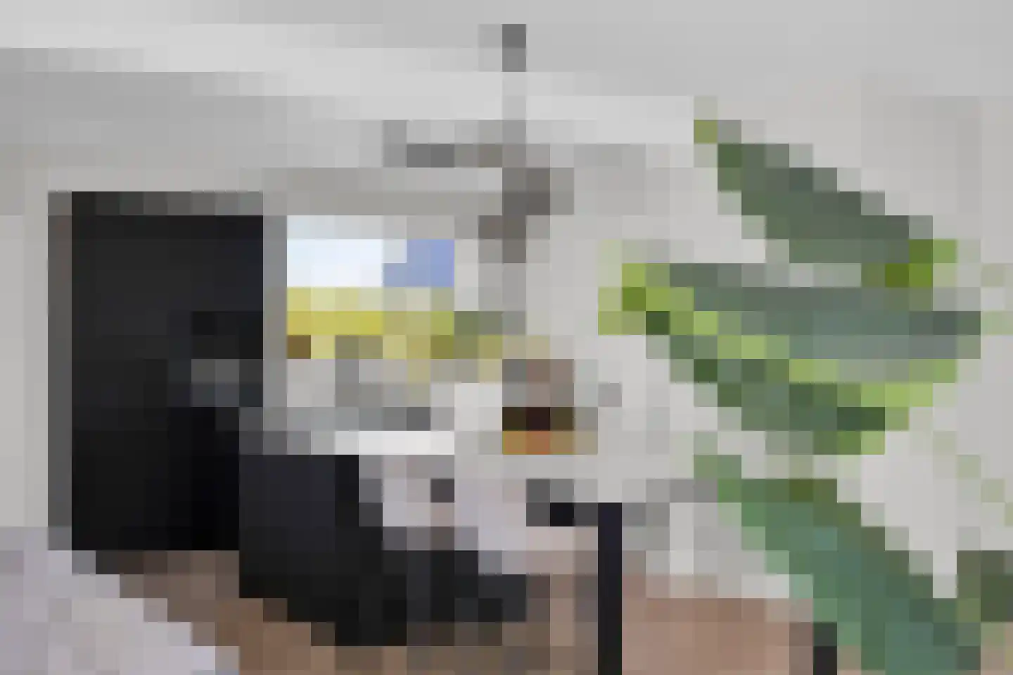 Aldewei 35 Oudega thumbnail 18