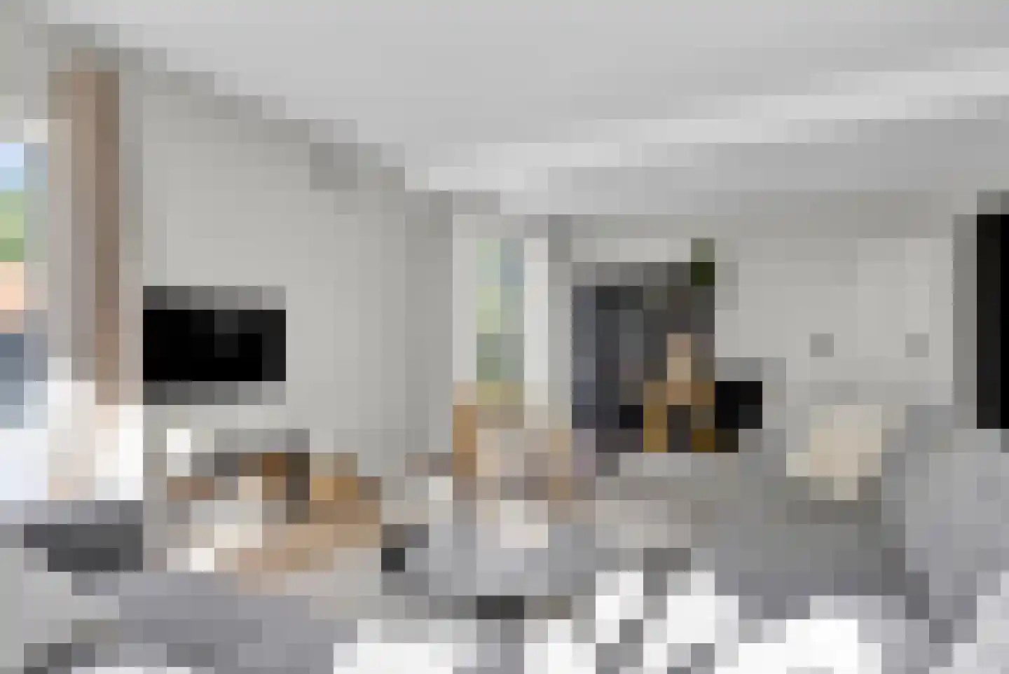 Aldewei 35 Oudega thumbnail 19