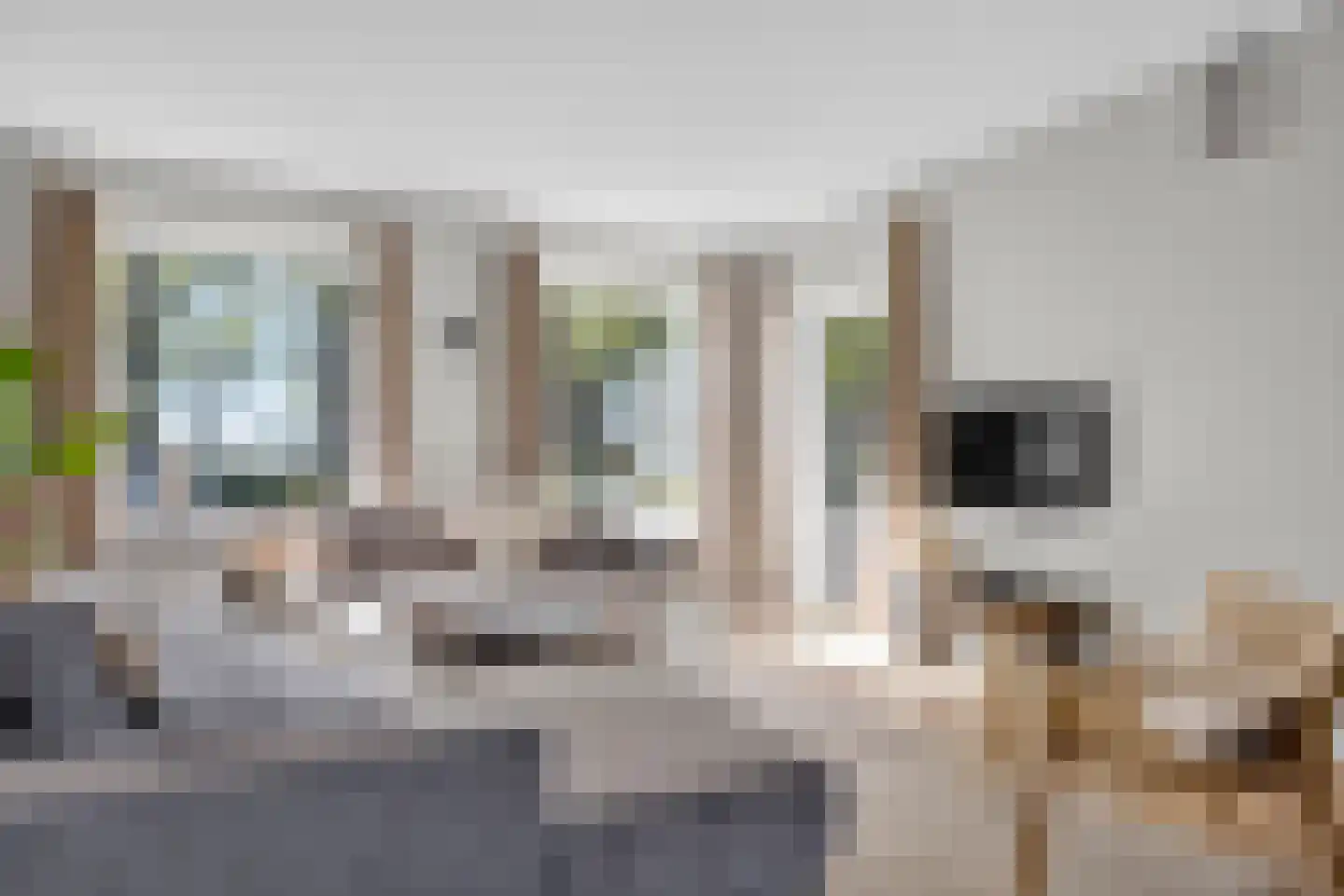 Aldewei 35 Oudega thumbnail 20