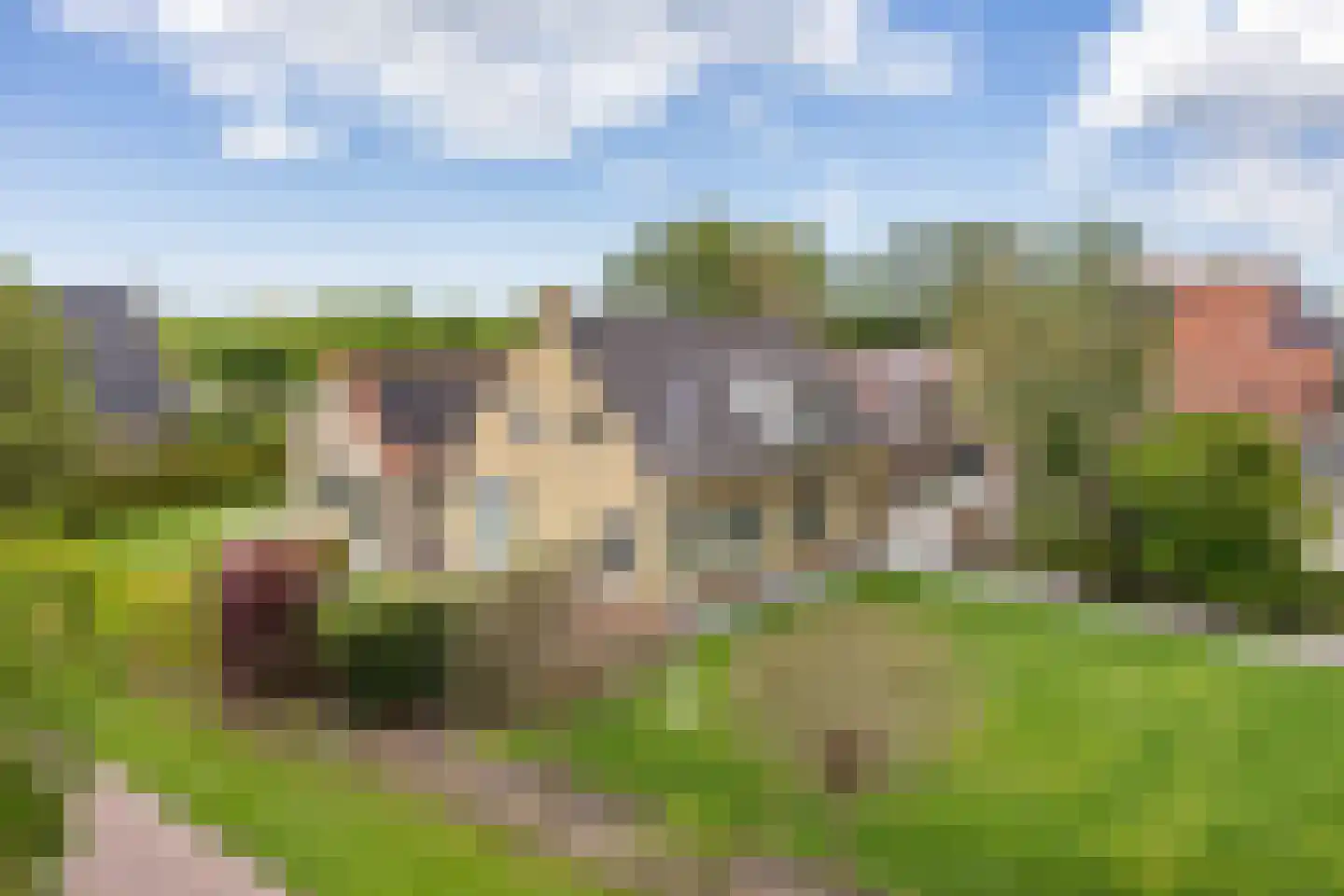 Aldewei 35 Oudega foto 3