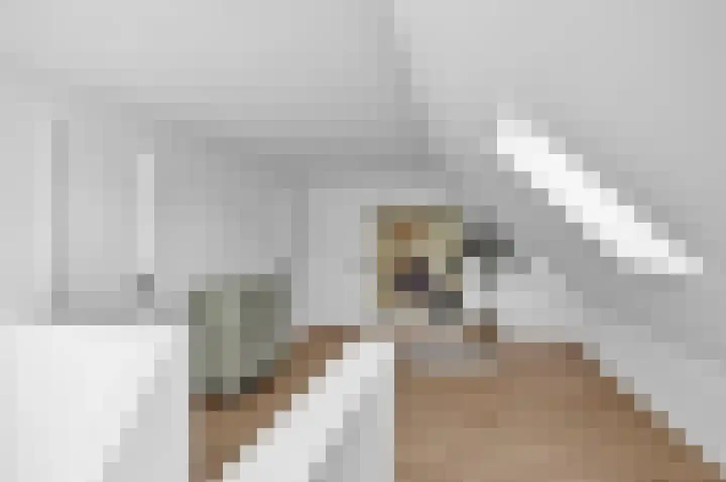Aldewei 35 Oudega thumbnail 30