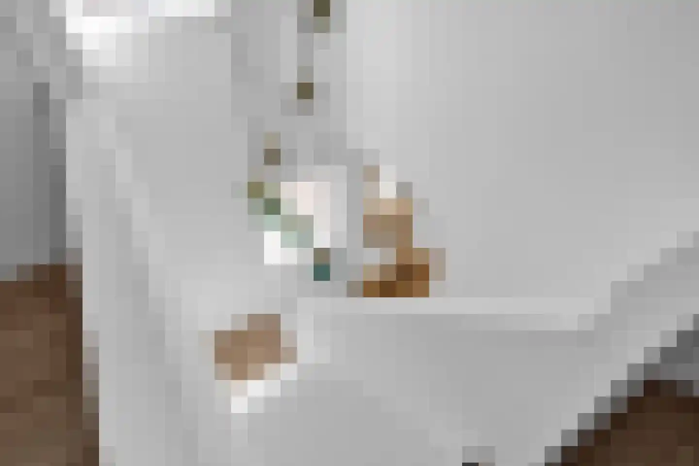 Aldewei 35 Oudega thumbnail 31