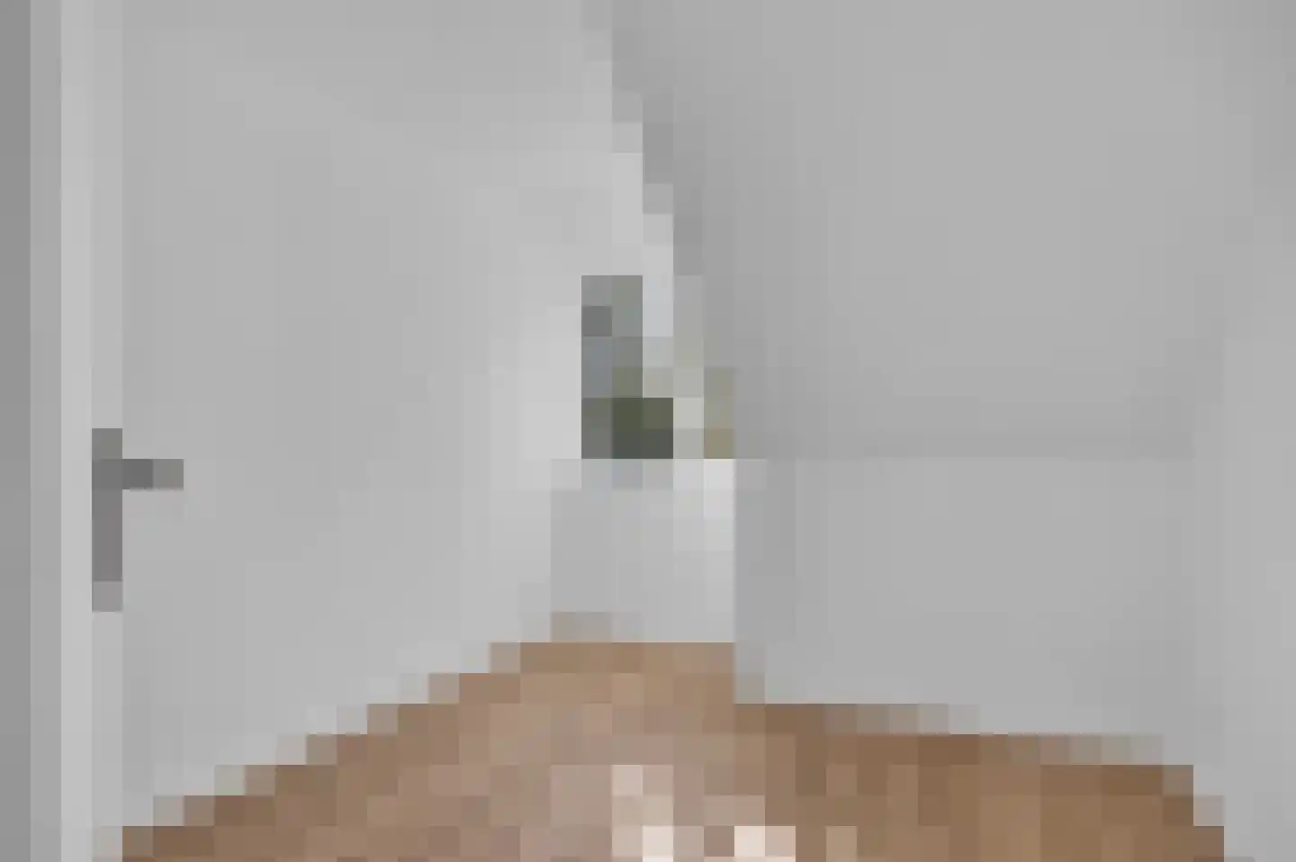 Aldewei 35 Oudega thumbnail 32