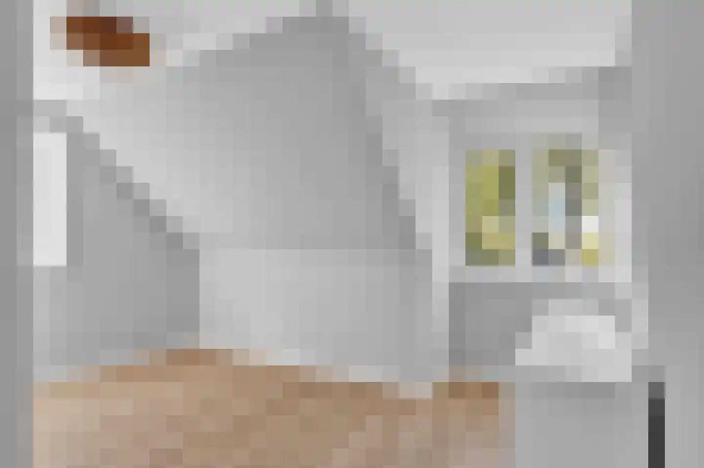 Aldewei 35 Oudega thumbnail 36