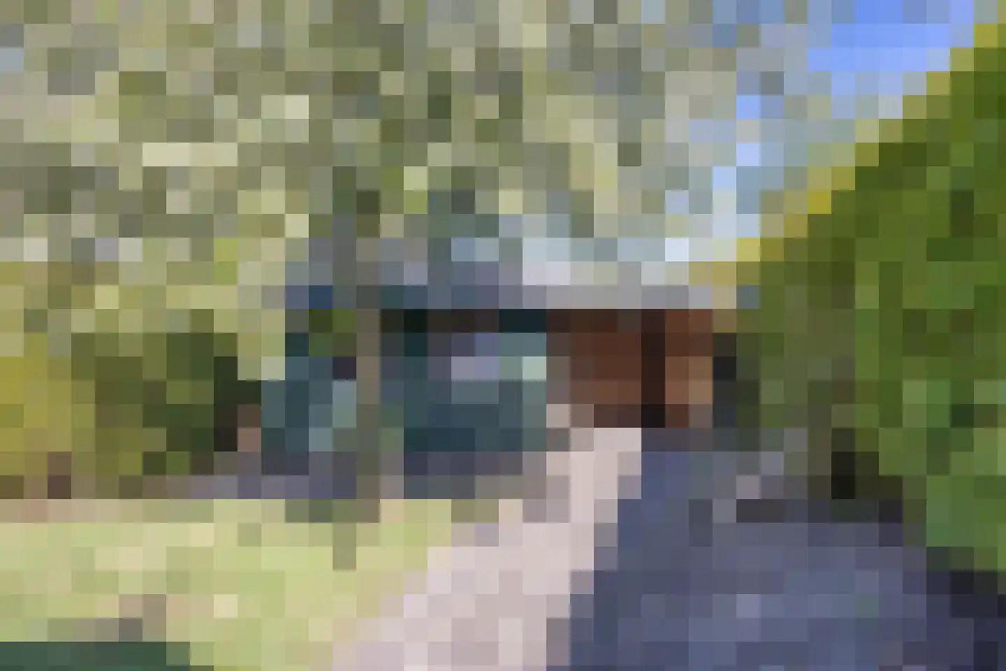 Aldewei 35 Oudega thumbnail 47
