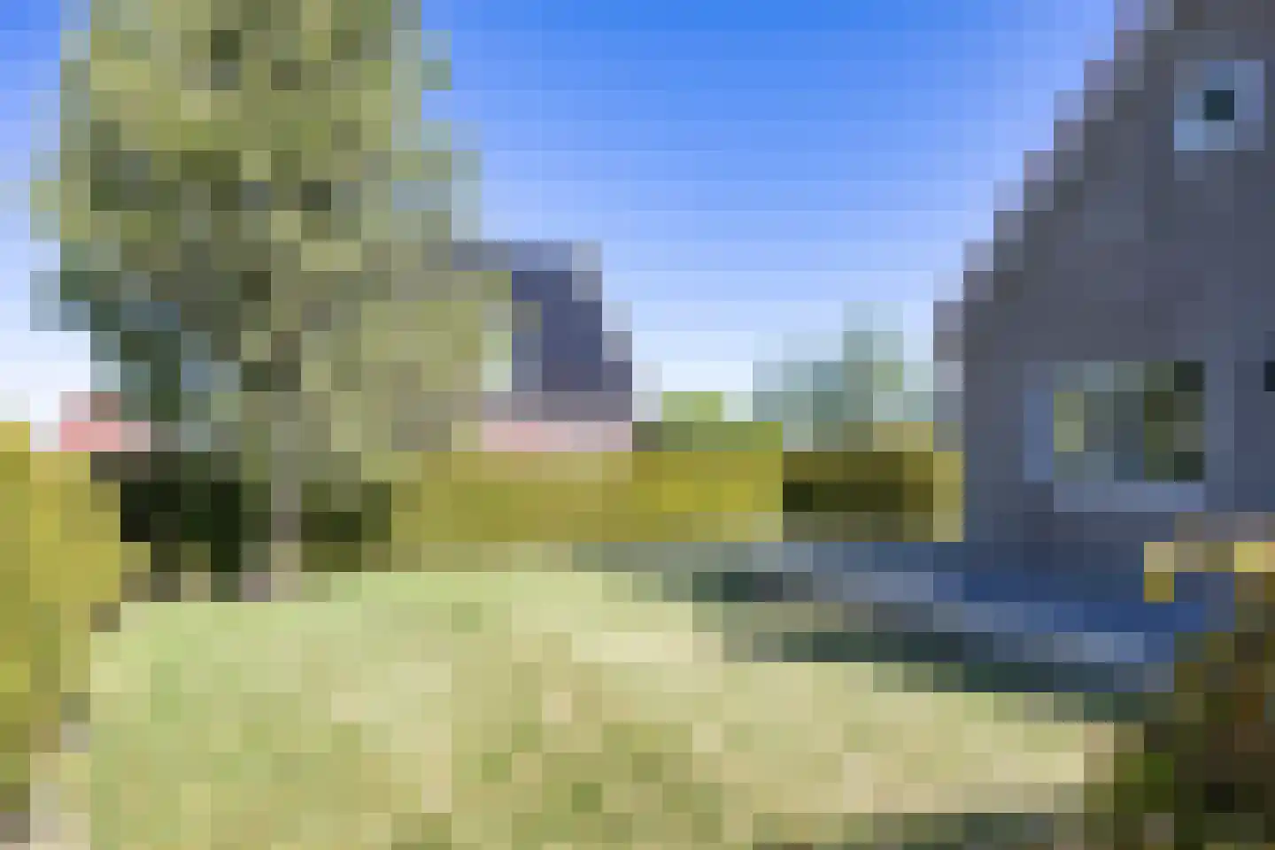 Aldewei 35 Oudega thumbnail 50