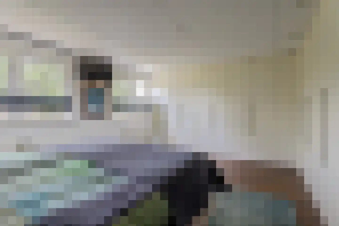 Aldewei 4 Workum thumbnail 23