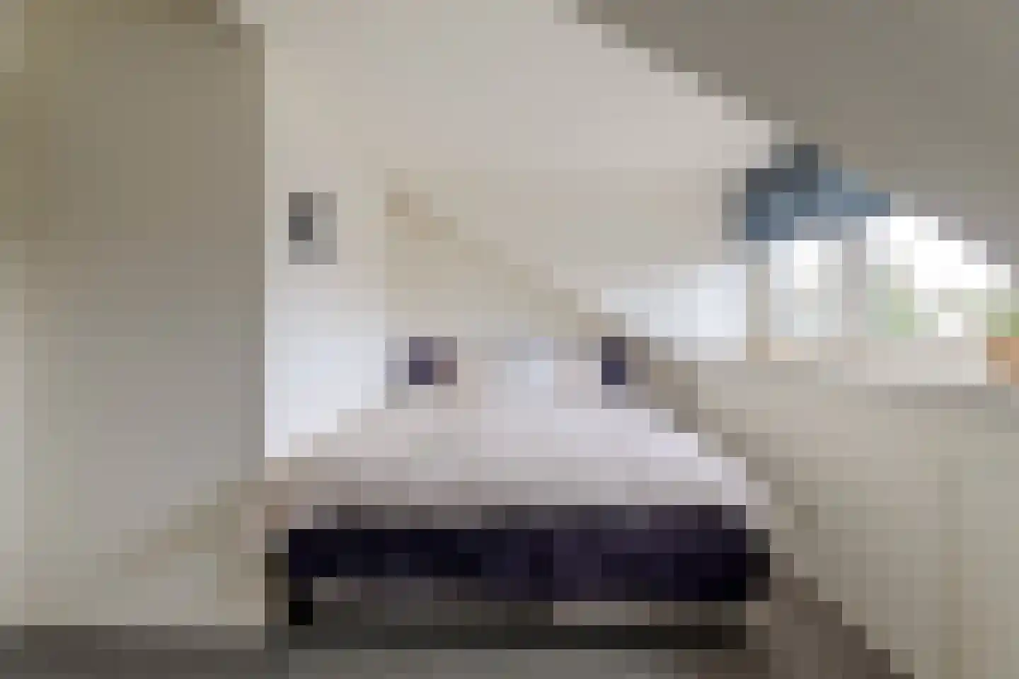 Aldewei 4 Workum thumbnail 30