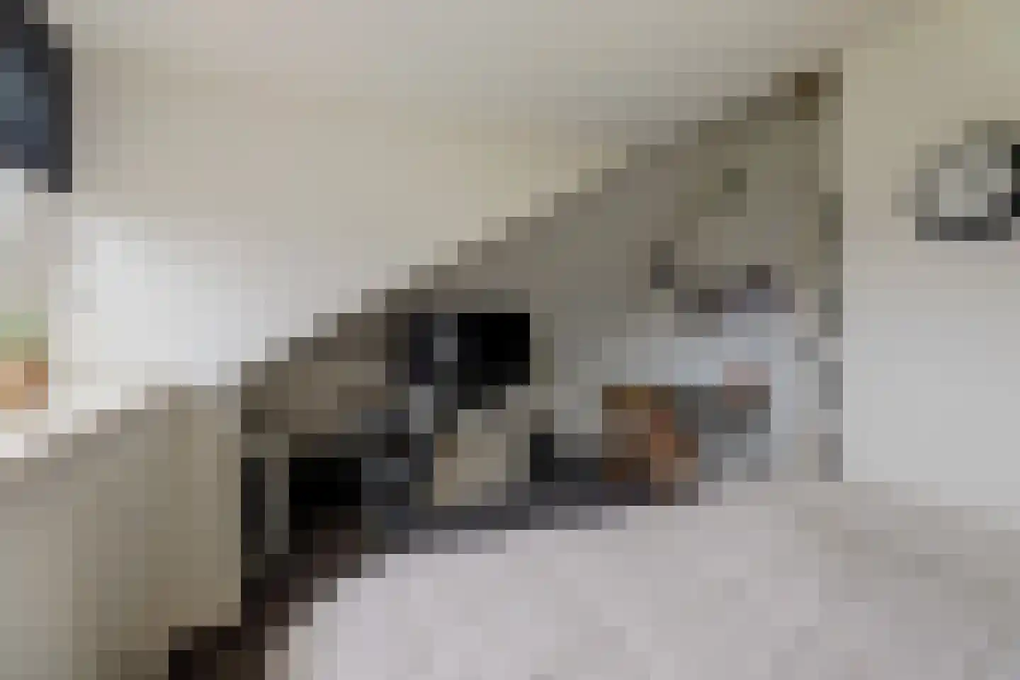 Aldewei 4 Workum thumbnail 31