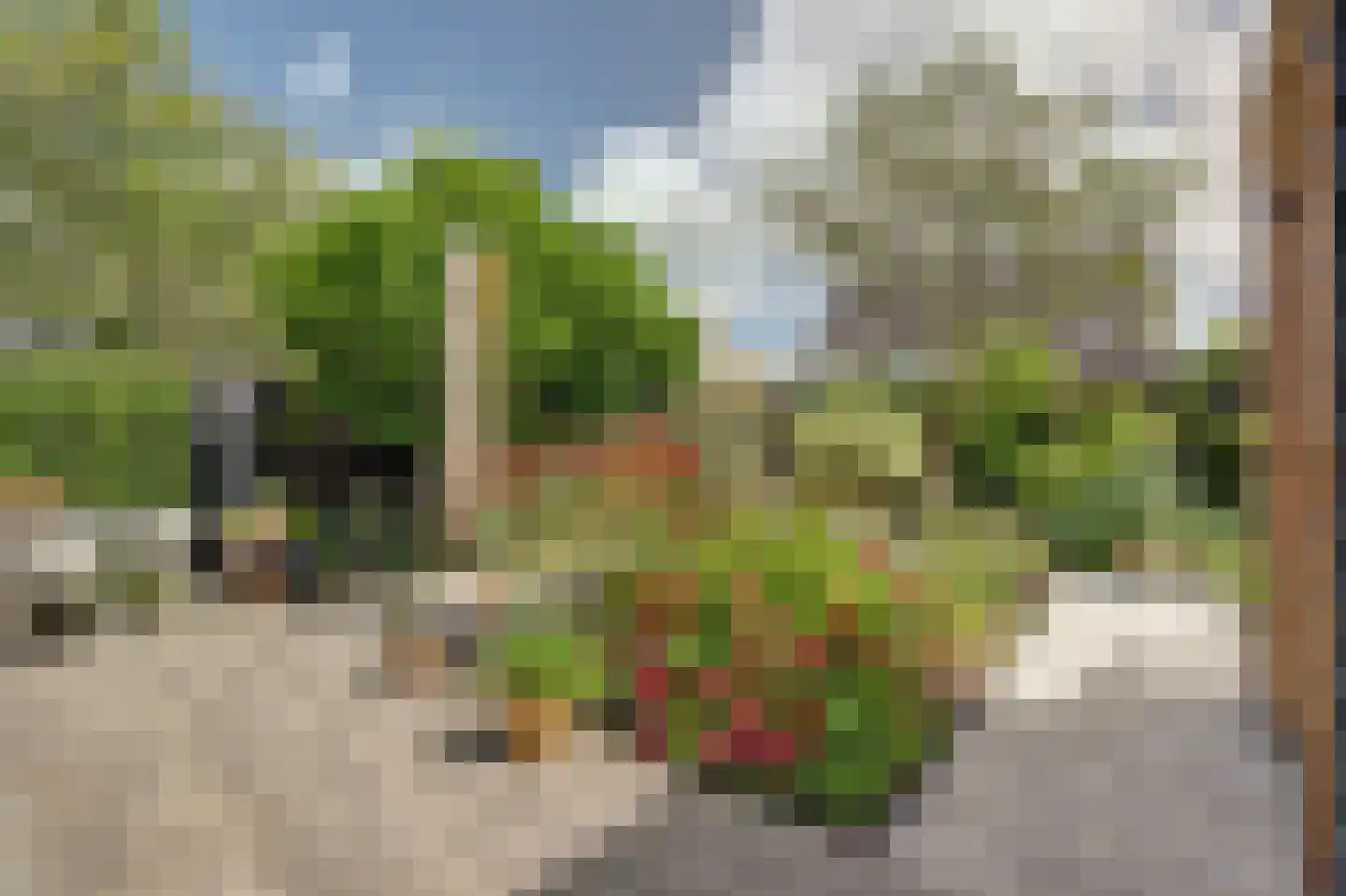 Aldewei 4 Workum thumbnail 38