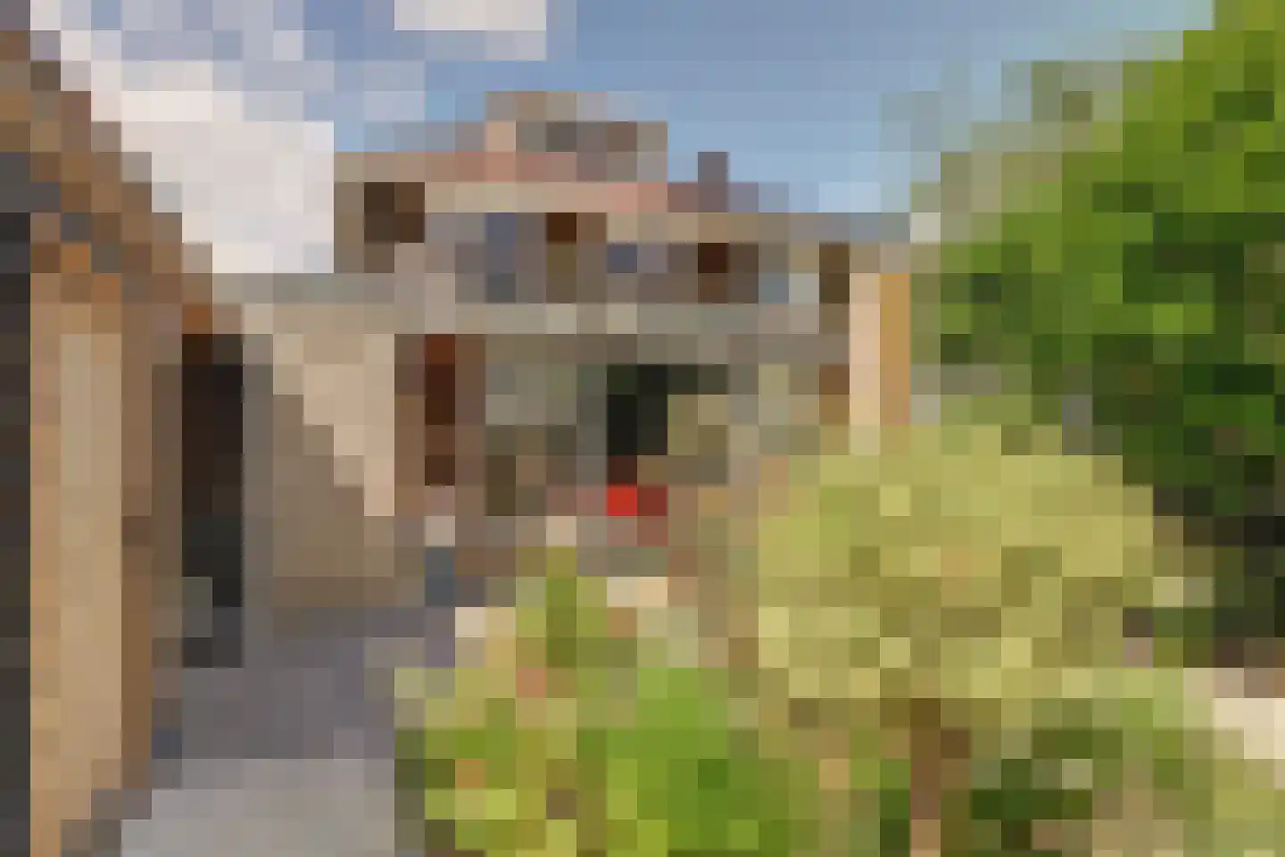 Aldewei 4 Workum thumbnail 4