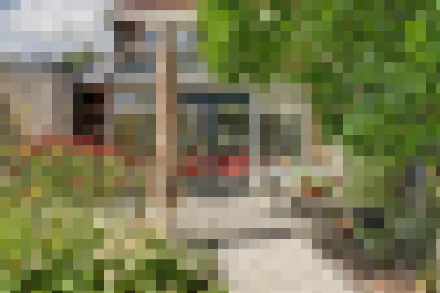 Aldewei 4 Workum thumbnail 41