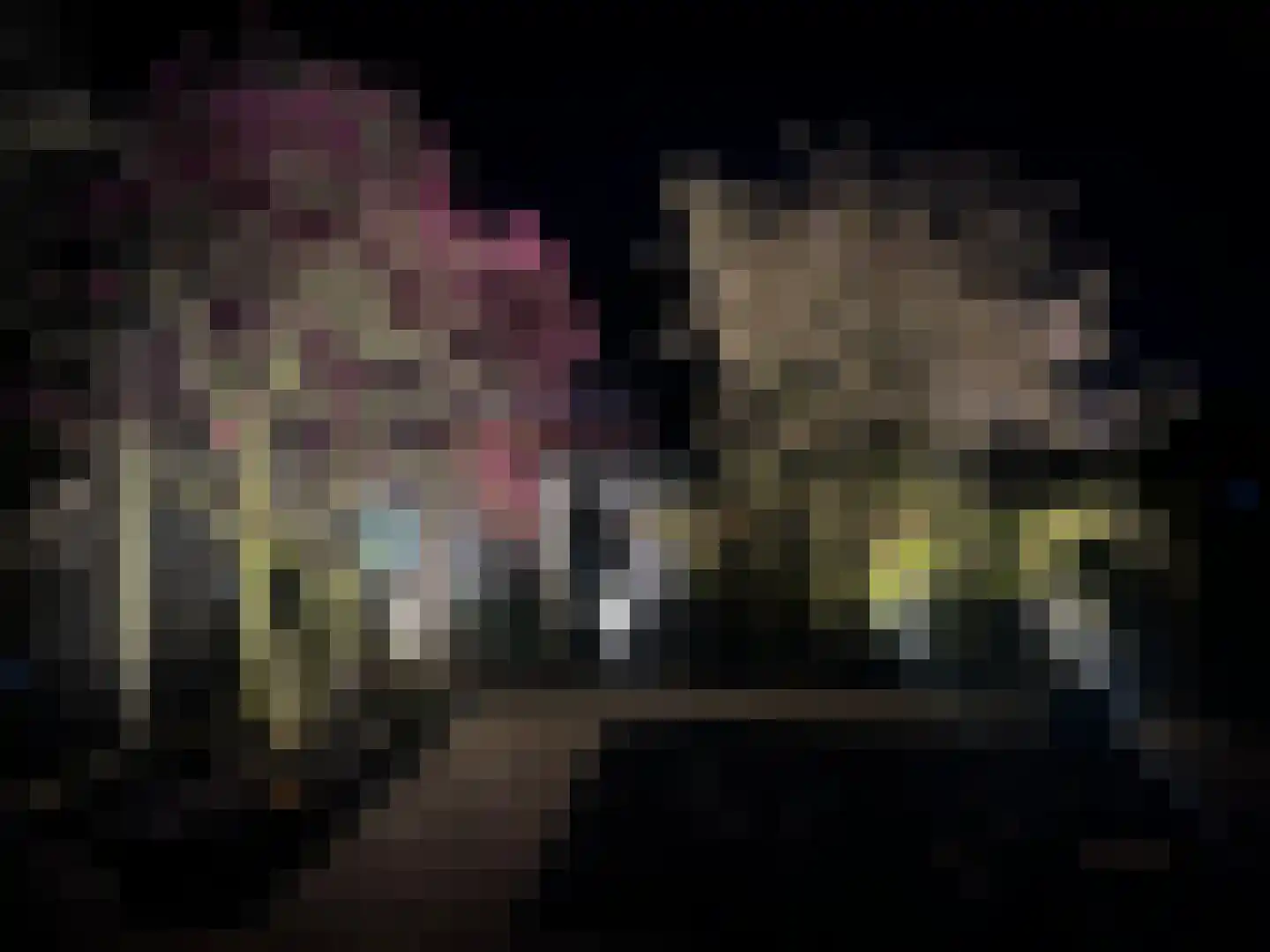 Aldewei 4 Workum thumbnail 43