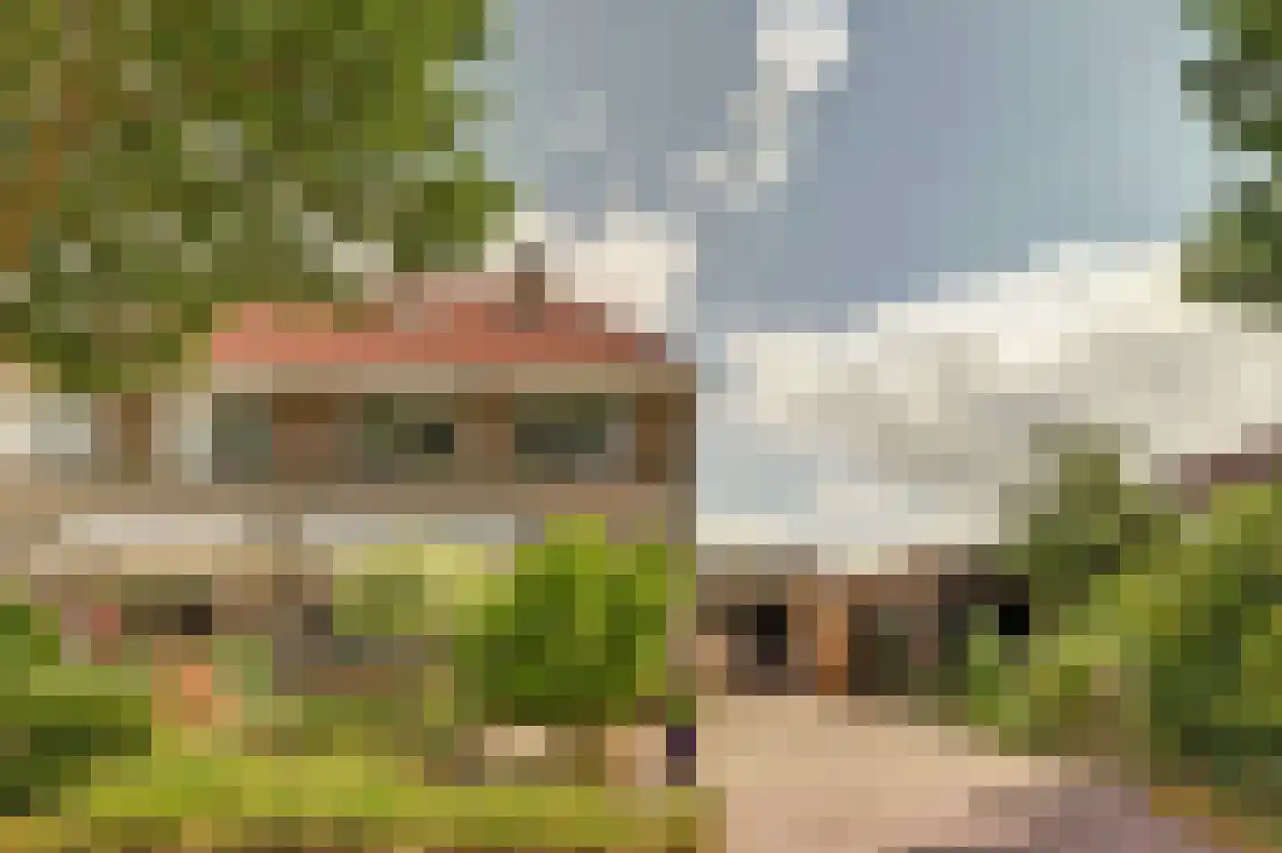Aldewei 4 Workum thumbnail 45
