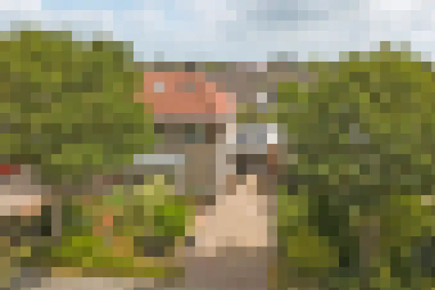 Aldewei 4 Workum thumbnail 46