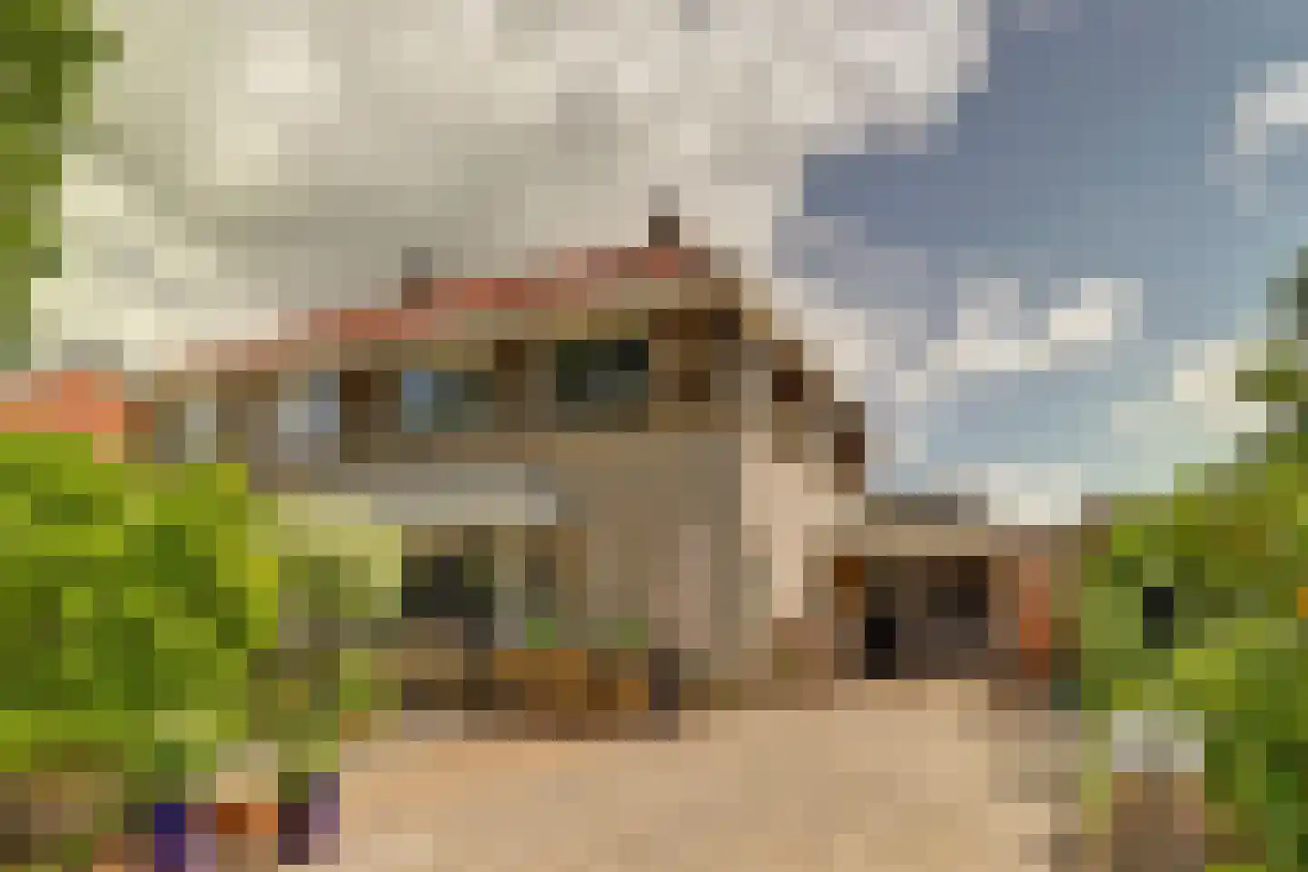 Aldewei 4 Workum thumbnail 5