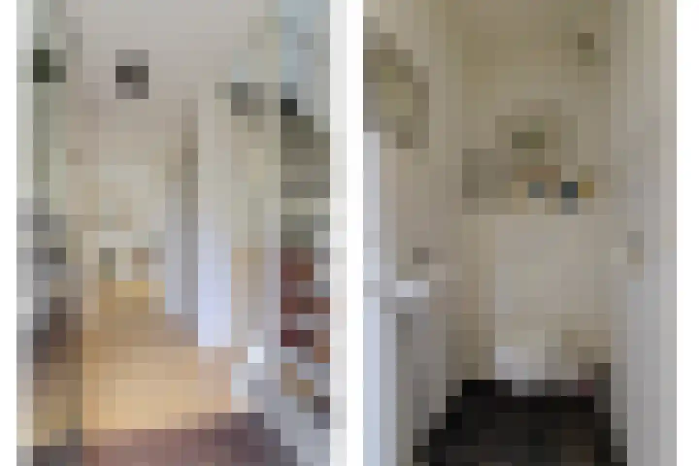 Aldewei 4 Workum thumbnail 8